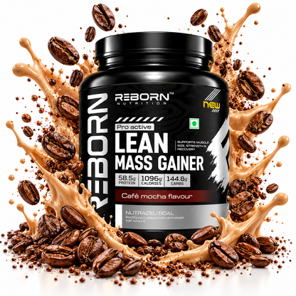 REBORN NUTRITION PRO-ACTIVE LEAN MASS GAINER | 45 Serving
