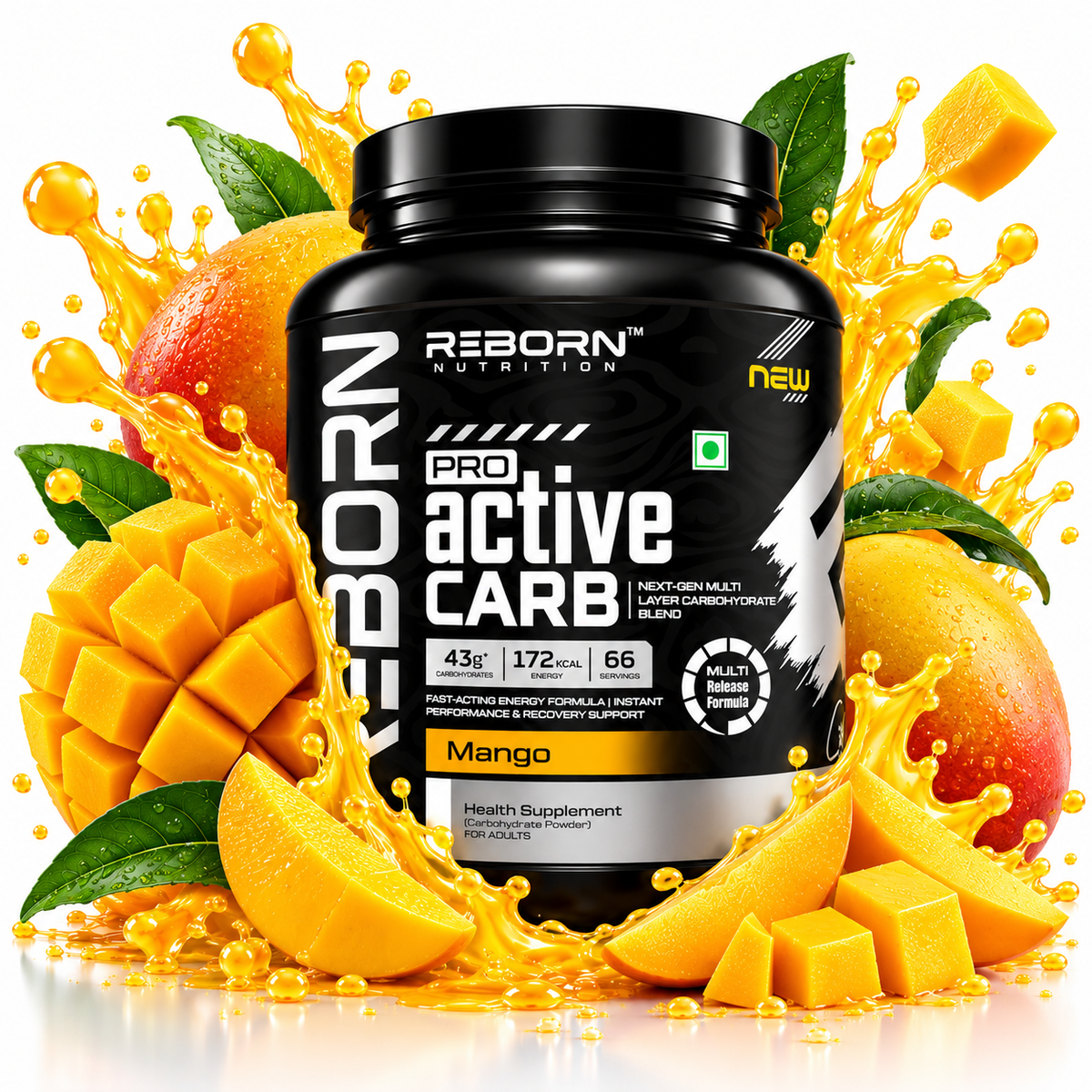 REBORN   PRO ACTIVE CARB  | 66 SERVING