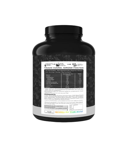 REBORN NUTRITION PRO-ACTIVE LEAN MASS GAINER